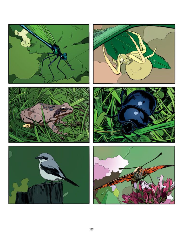 System Preference graphic novel